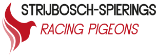 Strijbosch-Spierings Logo